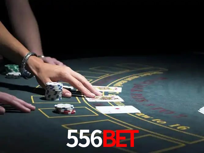 556bet Segurança Logo 2